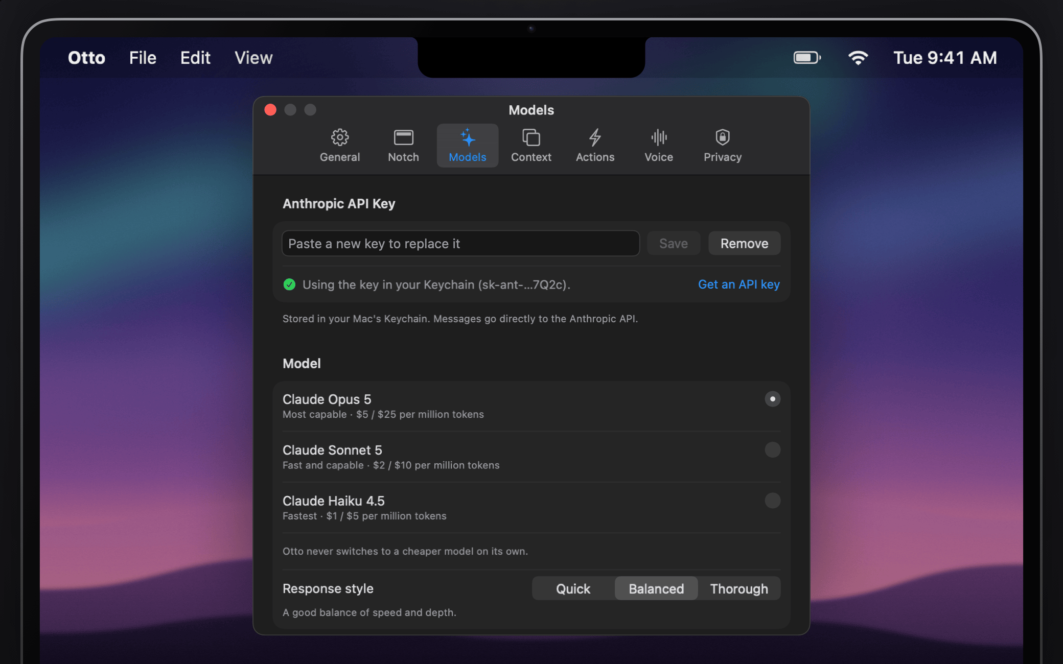 Otto's Settings window with the API key field, model picker and web access options